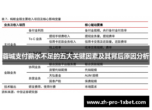 蓉城支付薪水不足的五大关键因素及其背后原因分析 蓉城支付薪水不足的五大关键因素及其背后原因分析
