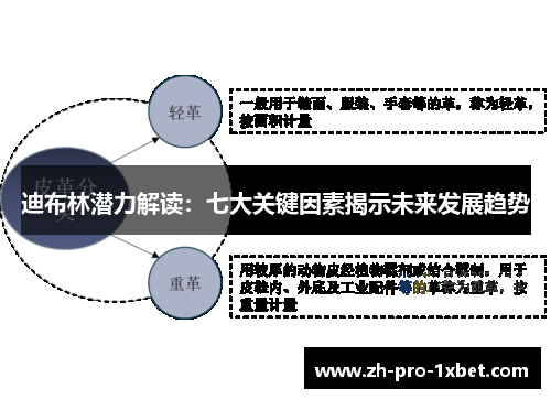 迪布林潜力解读：七大关键因素揭示未来发展趋势