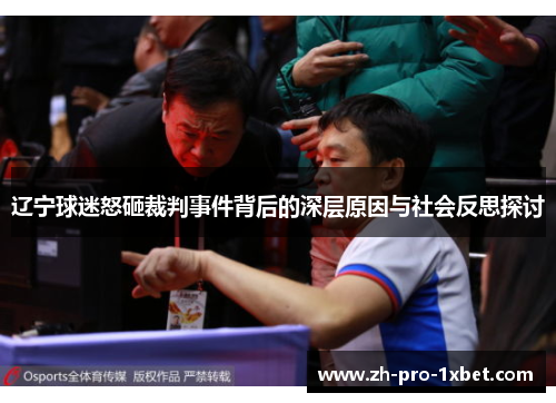 辽宁球迷怒砸裁判事件背后的深层原因与社会反思探讨