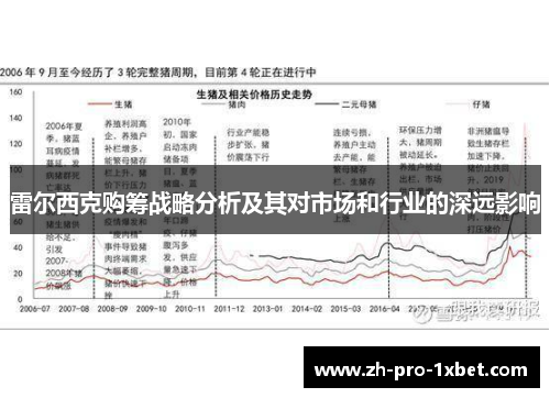 雷尔西克购筹战略分析及其对市场和行业的深远影响 雷尔西克购筹战略分析及其对市场和行业的深远影响