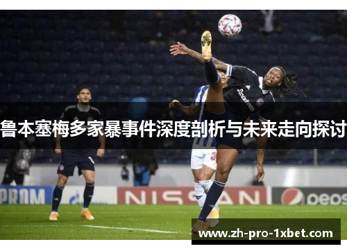 鲁本塞梅多家暴事件深度剖析与未来走向探讨